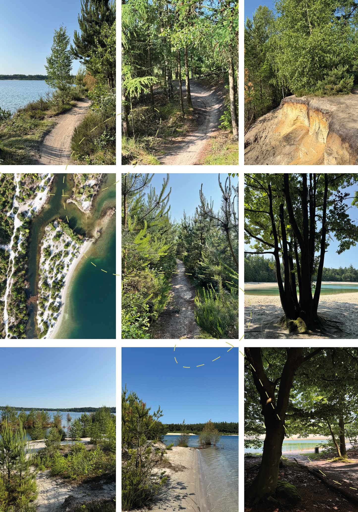 Tropisch wandelen bij het Gasselterveld