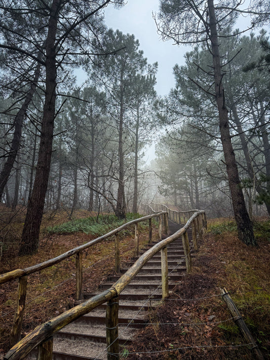 Je hoeft Nederland niet uit voor een avontuur dat blijft hangen