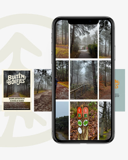 05. Boswandeling in de Schoorlse duinen