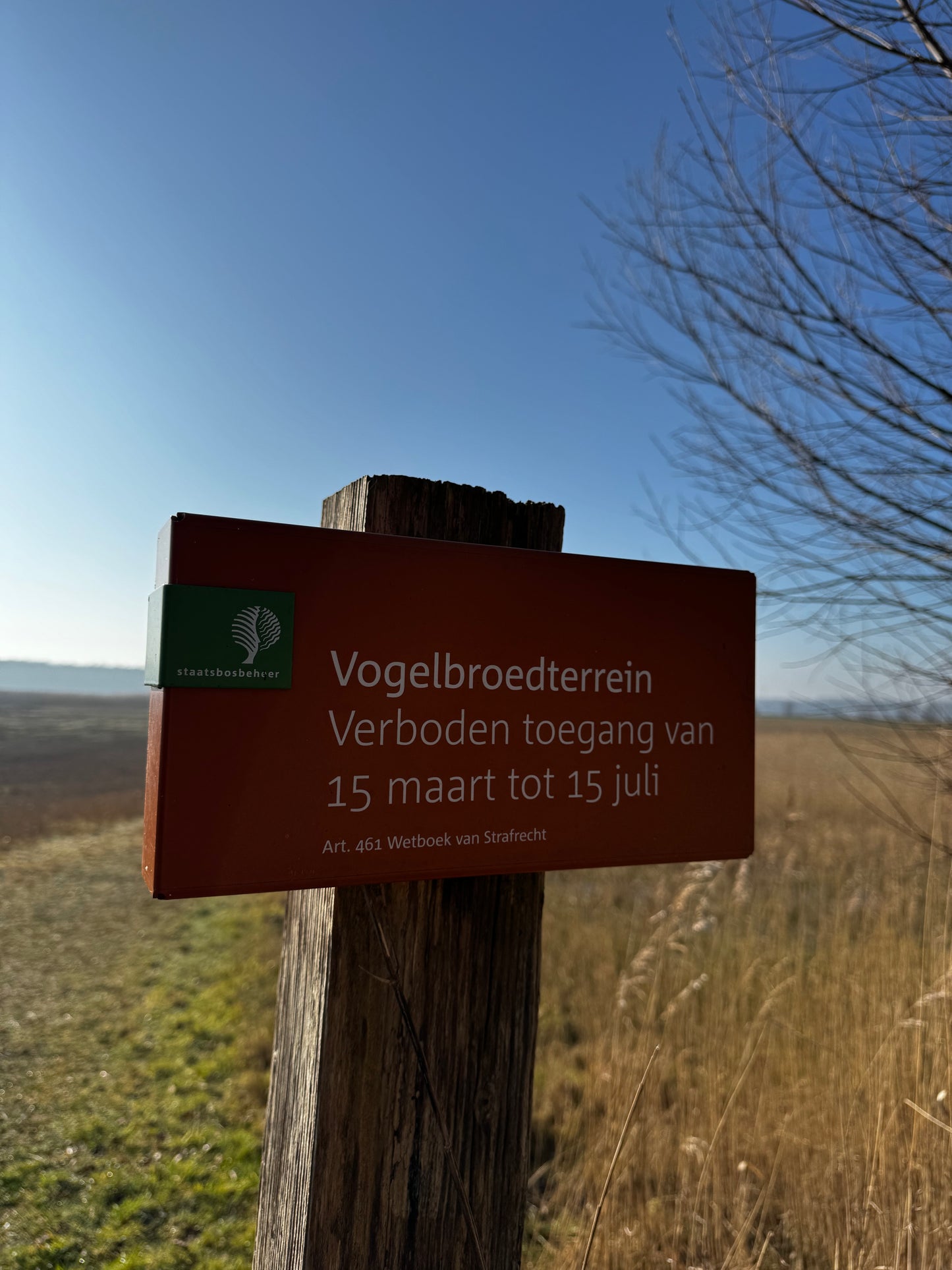 03. Bruggetjes route Robbenoordbos – bos, vlonders en uitkijktoren