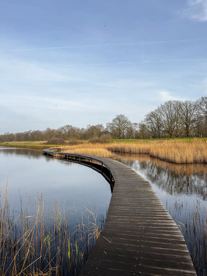 04. Wandeling spanderswoud – 14 km