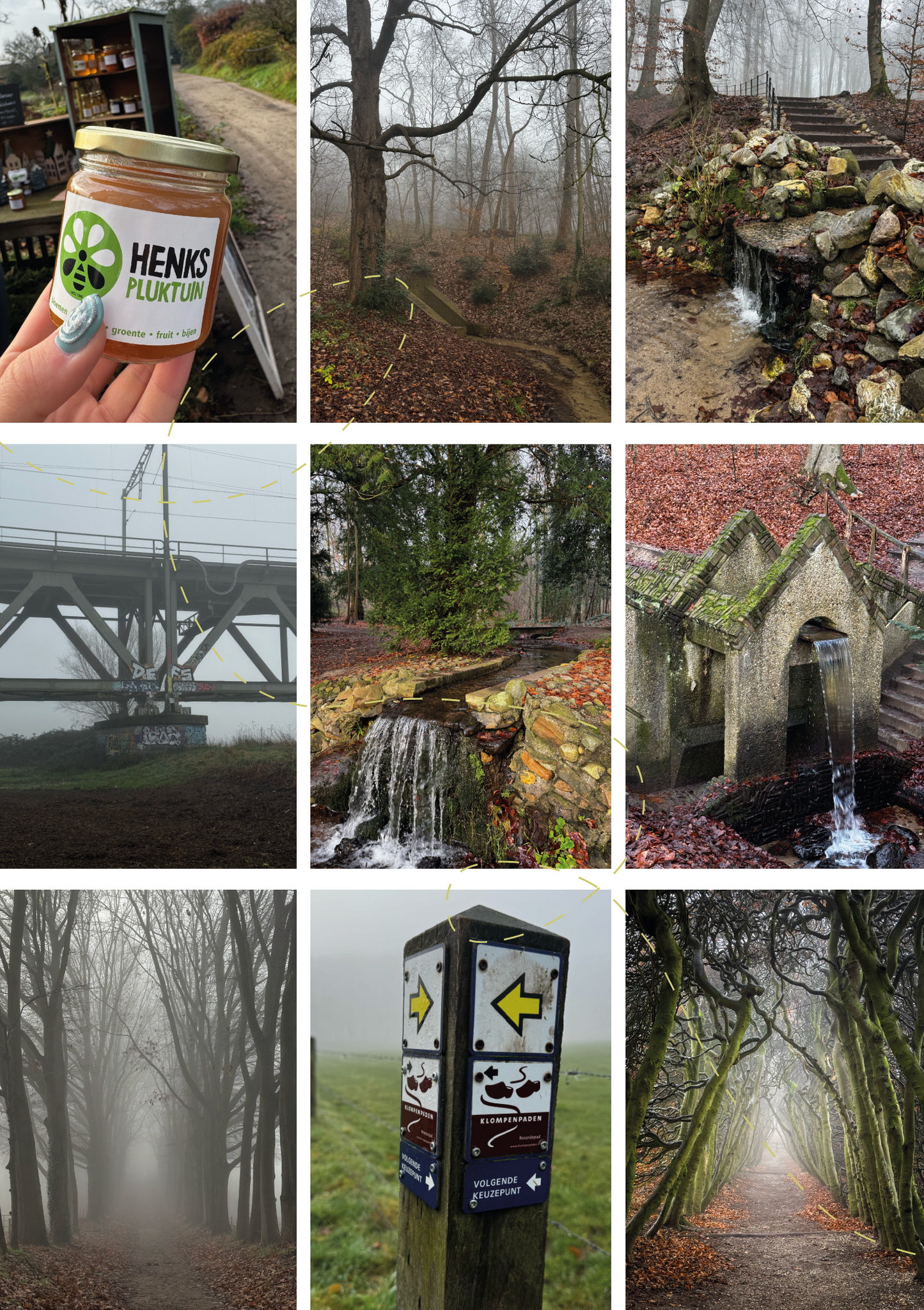 09. Magisch wandelen over landgoed Mariëndaal