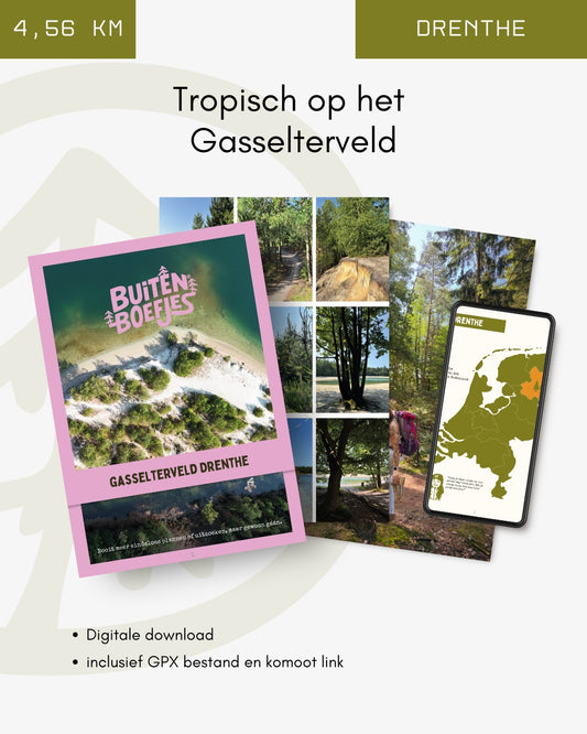 Tropisch wandelen bij het Gasselterveld